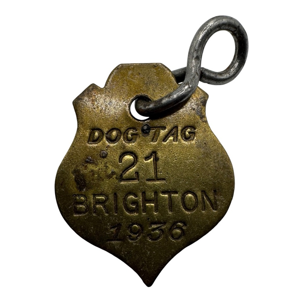 Vintage 1936 Brighton Brass Dog Tag #21 –‎ Antique Pet License